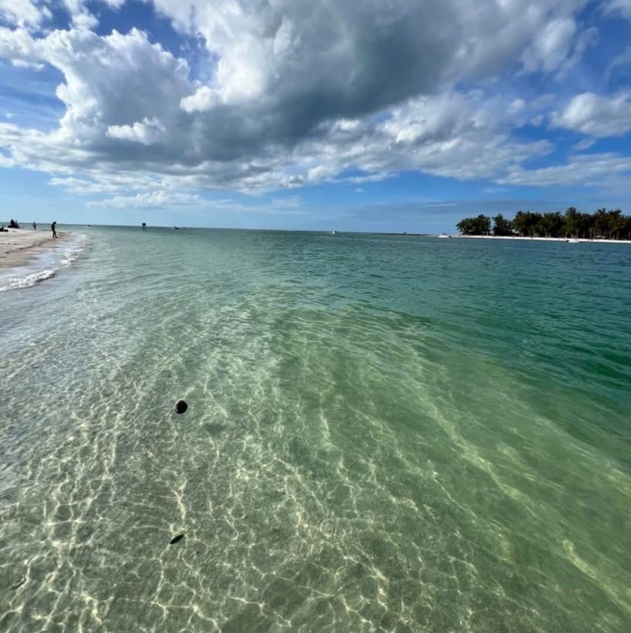 Anna Maria Island Beautiful waters